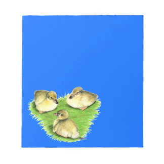 Snowy Mallard Ducklings Notepad
