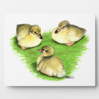 Snowy Mallard Ducklings Plaque