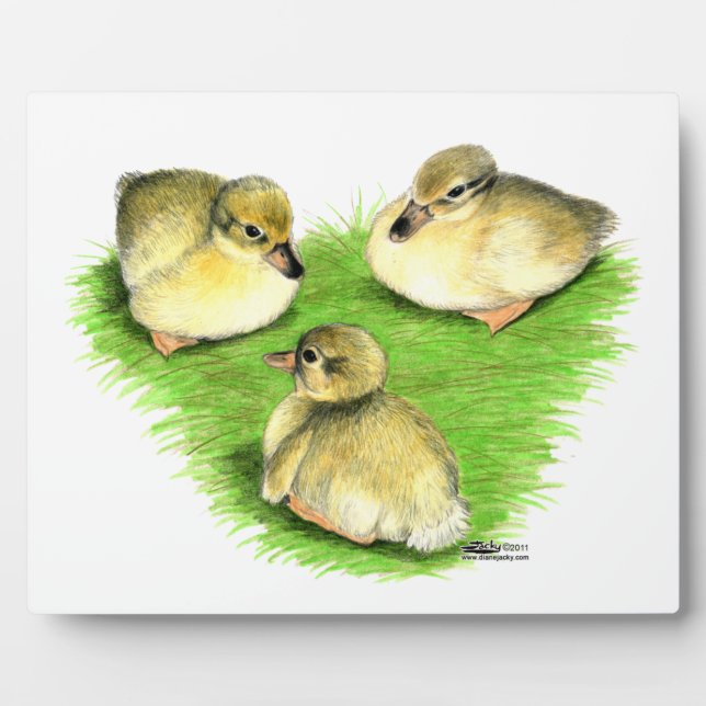 Snowy Mallard Ducklings Plaque (Front)