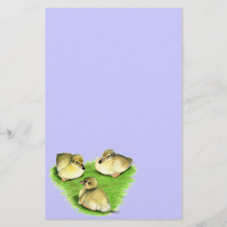 Snowy Mallard Ducklings Stationery