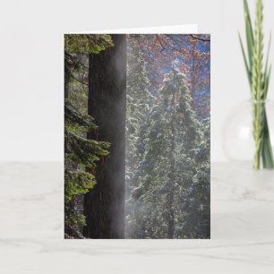 Snowy Mist in the Forest Card