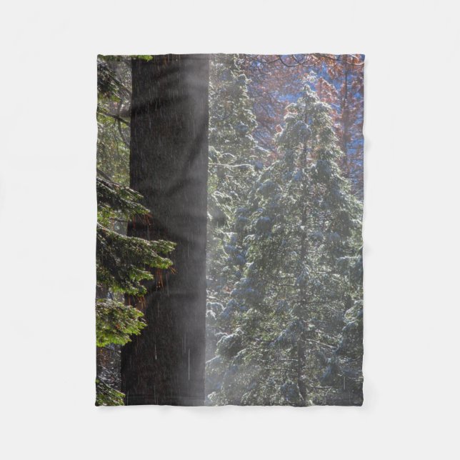Snowy Mist in the Forest Fleece Blanket (Front)