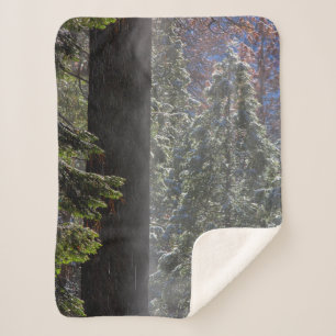 Snowy Mist in the Forest Sherpa Blanket