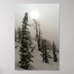 Snowy mountain and trees poster