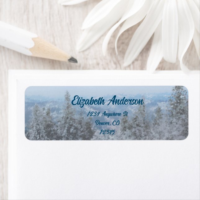 Snowy Mountain Forest Wedding (Insitu)