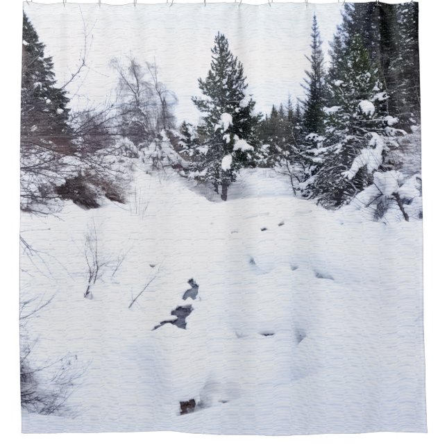 Snowy Mountain Shower Curtain (Front)