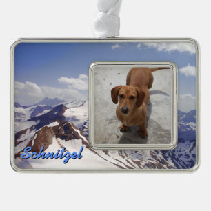 Snowy Mountains and Pet Photo Christmas Ornament