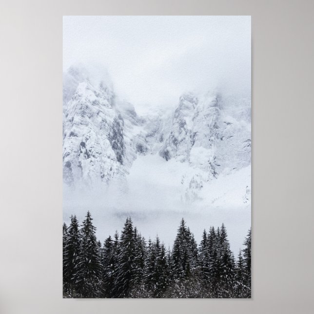 Snowy mountains and spruce forest poster (Front)