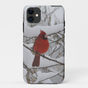 Snowy Nose Cardinal Iphone 5 case-mate Case