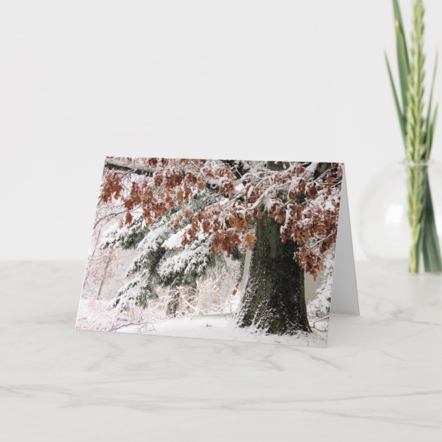 Snowy oak leaves  card (Front)
