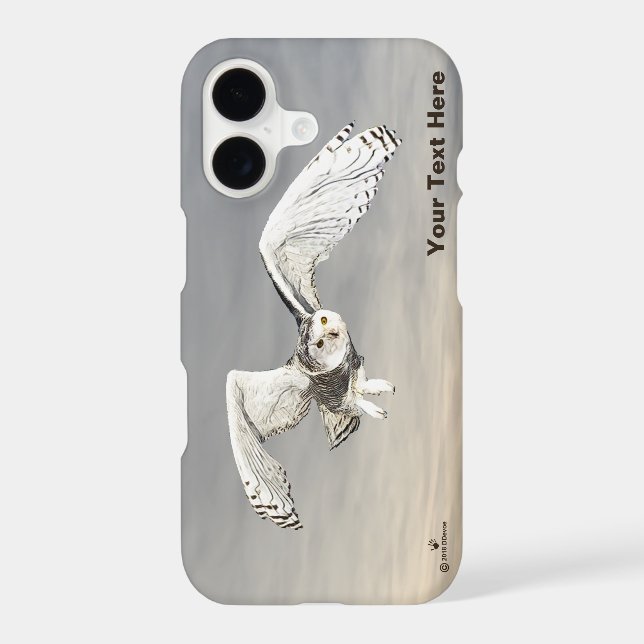 Snowy Owl (Back)