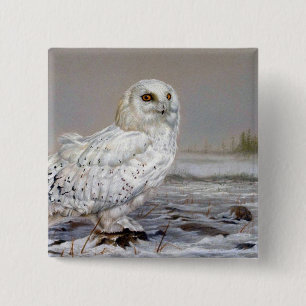 Snowy Owl 15 Cm Square Badge