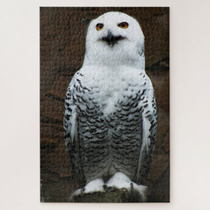 Snowy Owl 20x30 1014pc jpcnm Jigsaw Puzzle