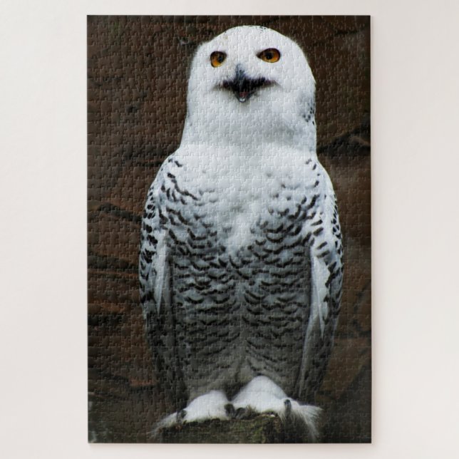 Snowy Owl 20x30 1014pc jpcnm Jigsaw Puzzle (Vertical)