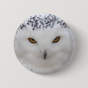Snowy Owl 6 Cm Round Badge