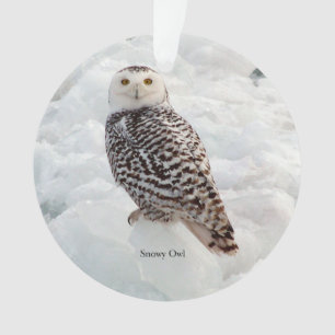 Snowy Owl acrylic ornament