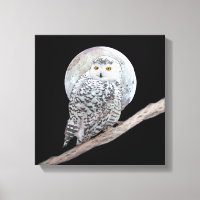 Snowy Owl and Moon Painting - Original Bird Art