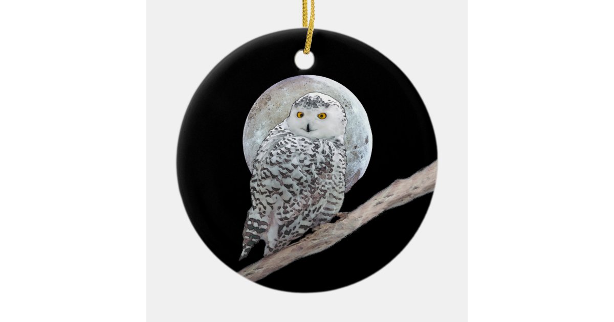 Snowy Owl And Moon Painting Original Bird Art Christmas Ornament Zazzle Co Nz