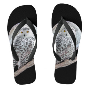 Snowy Owl and Moon Painting - Original Bird Art Jandals