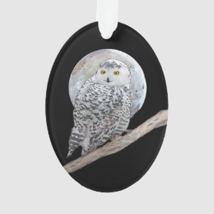 Snowy Owl and Moon Painting - Original Bird Art Ornament