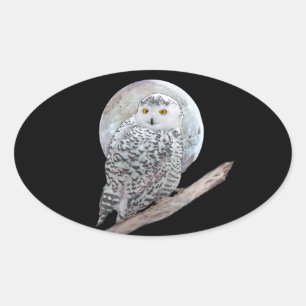 Snowy Owl and Moon Painting - Original Bird Art Oval Sticker