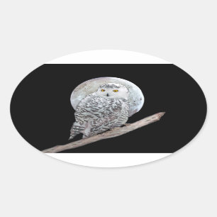 Snowy Owl and Moon Painting - Original Bird Art Oval Sticker