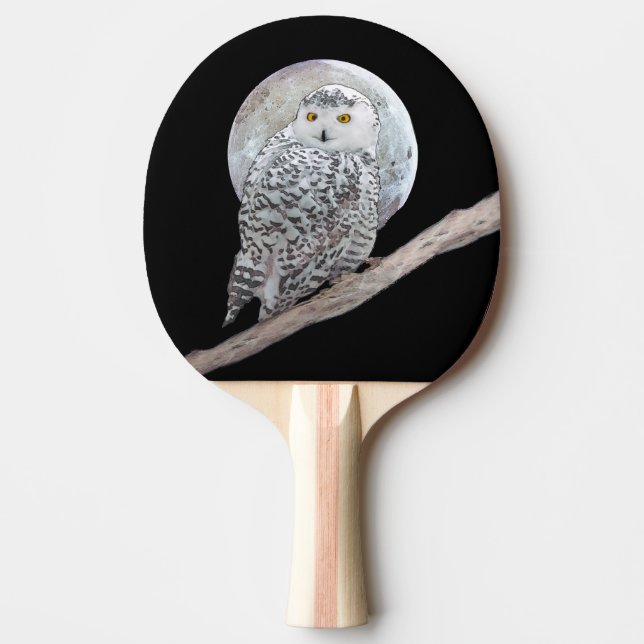Snowy Owl and Moon Painting - Original Bird Art Ping Pong Paddle (Front)