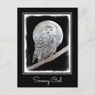 Snowy Owl and Moon Painting - Original Bird Art Postcard