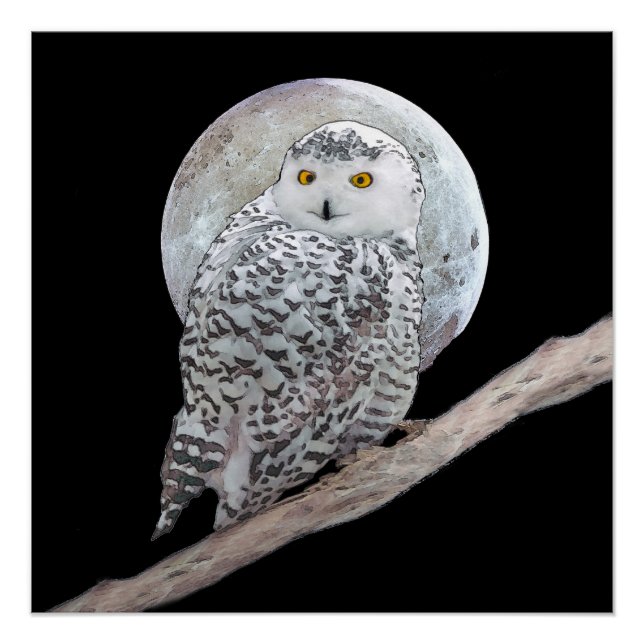 Snowy Owl and Moon Painting - Original Bird Art Poster (Front)