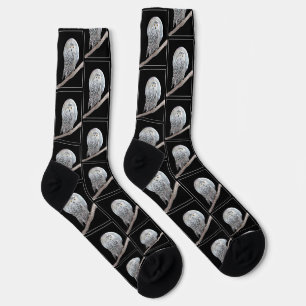Snowy Owl and Moon Painting Original Wild Bird Art Socks
