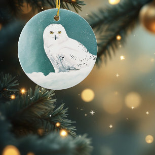 Snowy Owl Arctic Winter Sky Snow Teal Ceramic Tree Decoration