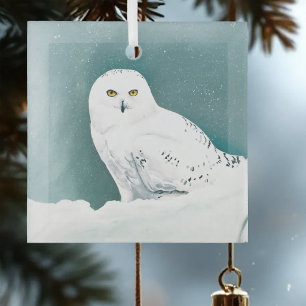 Snowy Owl Arctic Winter Sky Snow Teal Glass Tree Decoration