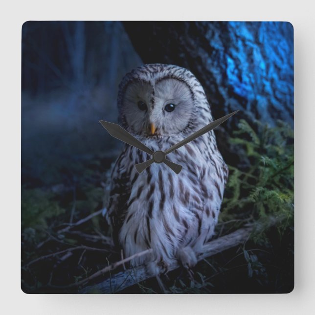Snowy Owl at Night  Square Wall Clock (Front)