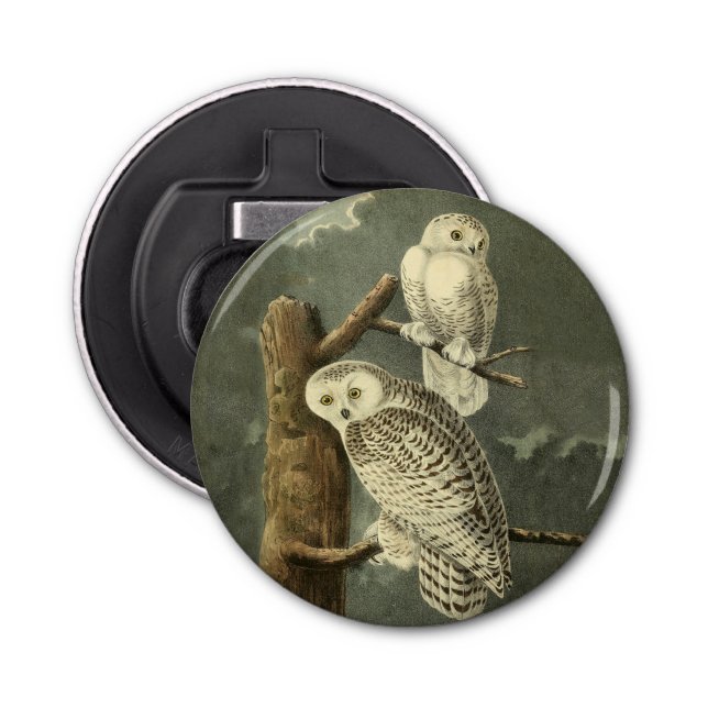 Snowy Owl Audubon Bird Artwork Bottle Opener (Front)