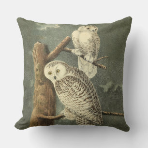 Snowy Owl Audubon Bird Artwork Outdoor Cushion