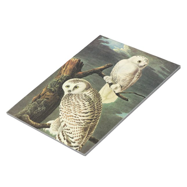 Snowy Owl - Audubon Fine Vintage Birds America Notepad (Angled)