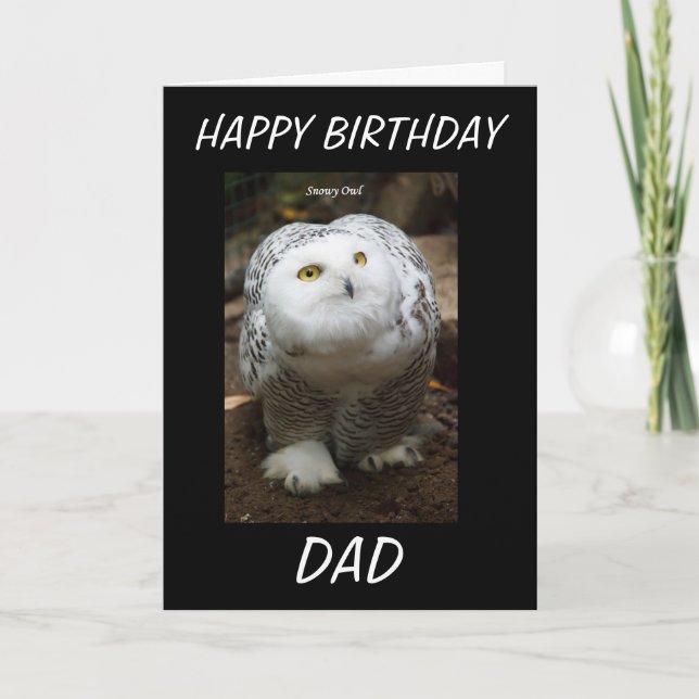 SNOWY OWL BIRTHDAY CARD (Front)