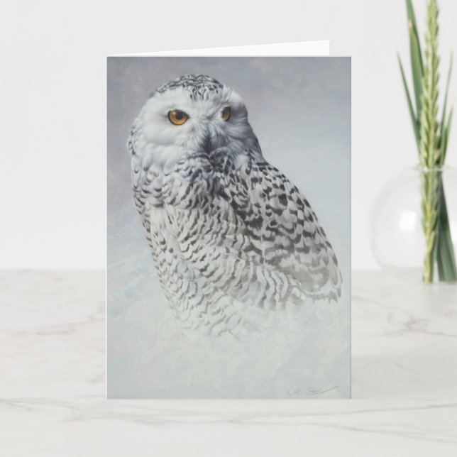 Snowy Owl Blank Card by Andrew Denman (Front)