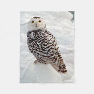 Snowy Owl blanket