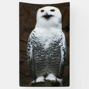 Snowy Owl bnrcna Banner