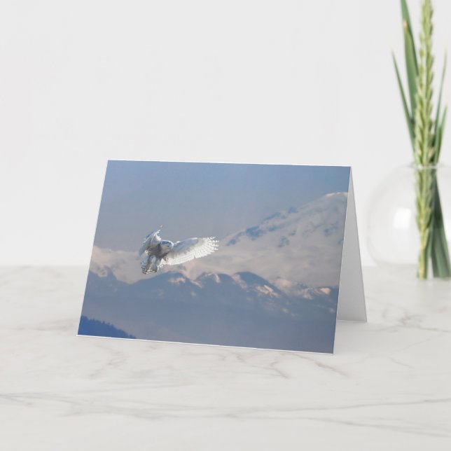 Snowy Owl, Boundary Bay, Mt. Baker, BC Holiday Card (Front)