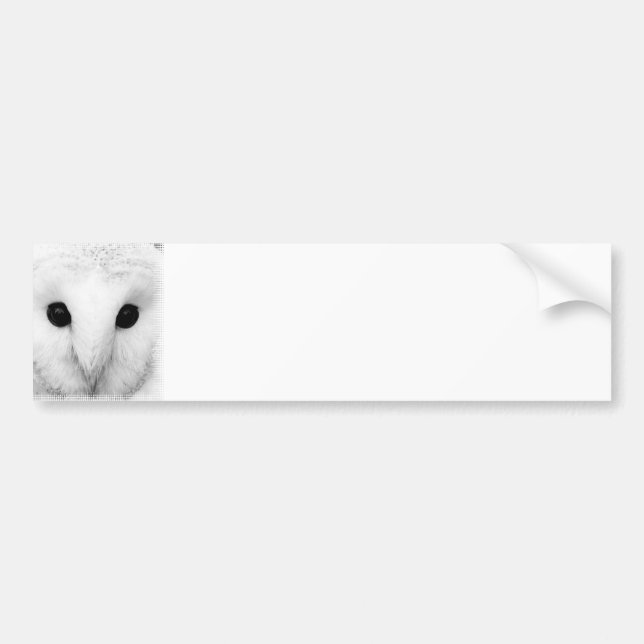Snowy Owl Bumper Sticker (Front)