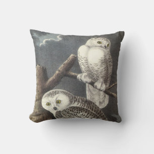 Snowy Owl by Audubon Cushion