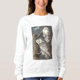 Snowy Owl by Audubon Sweatshirt