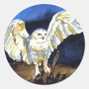Snowy Owl by Paula Atwell Classic Round Sticker