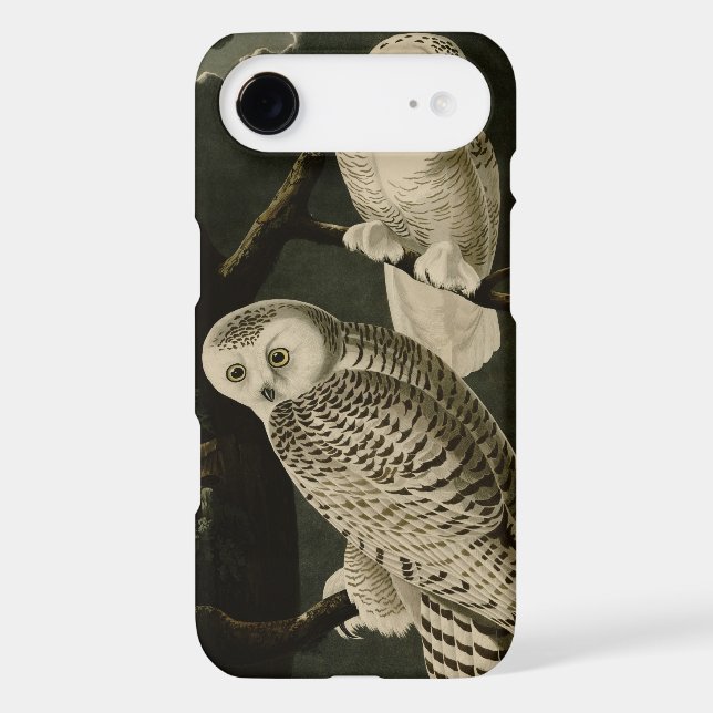 Snowy Owl Case-Mate iPhone 3 Case (Back)