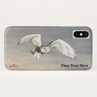 Snowy Owl
