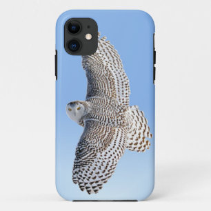 Snowy Owl Case-Mate iPhone Case