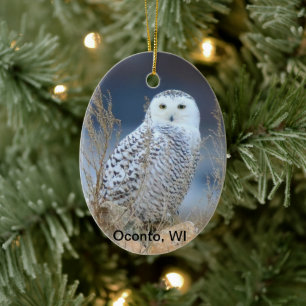 Snowy Owl Ceramic Ornament
