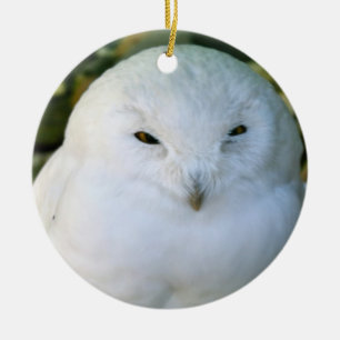Snowy Owl Ceramic Tree Decoration